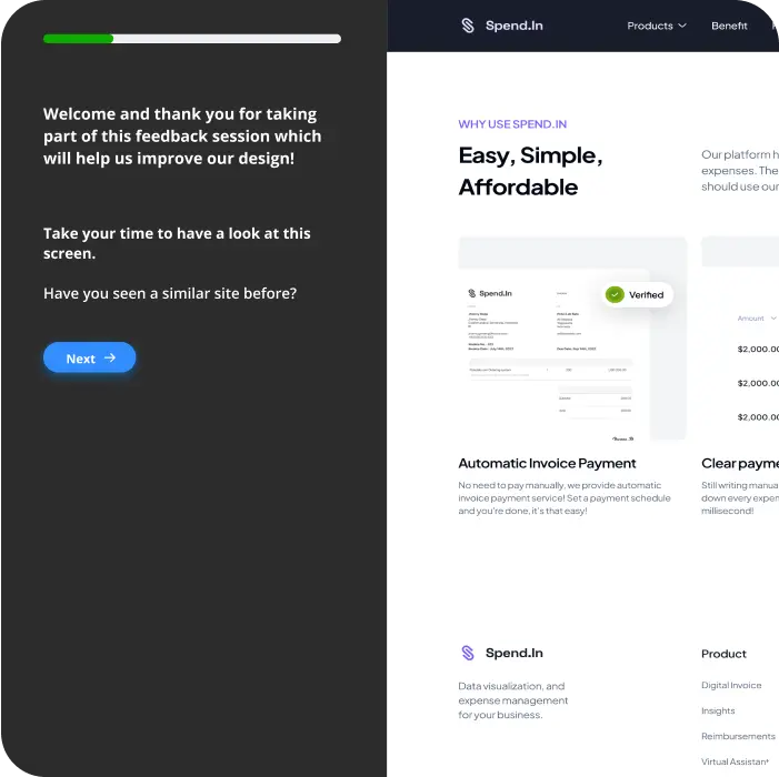 process Web Testing Launching