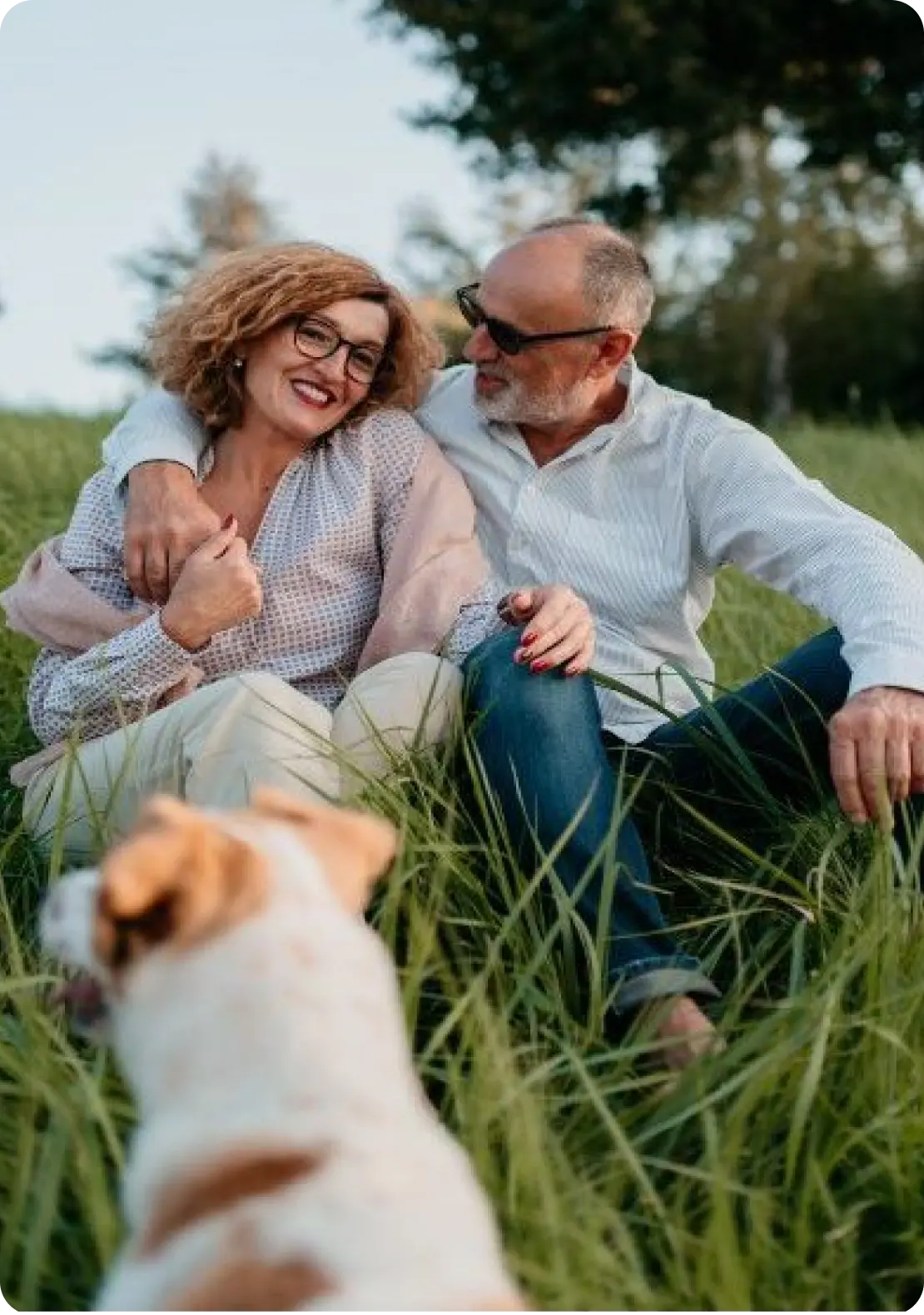 IQ fairprofit branding 3