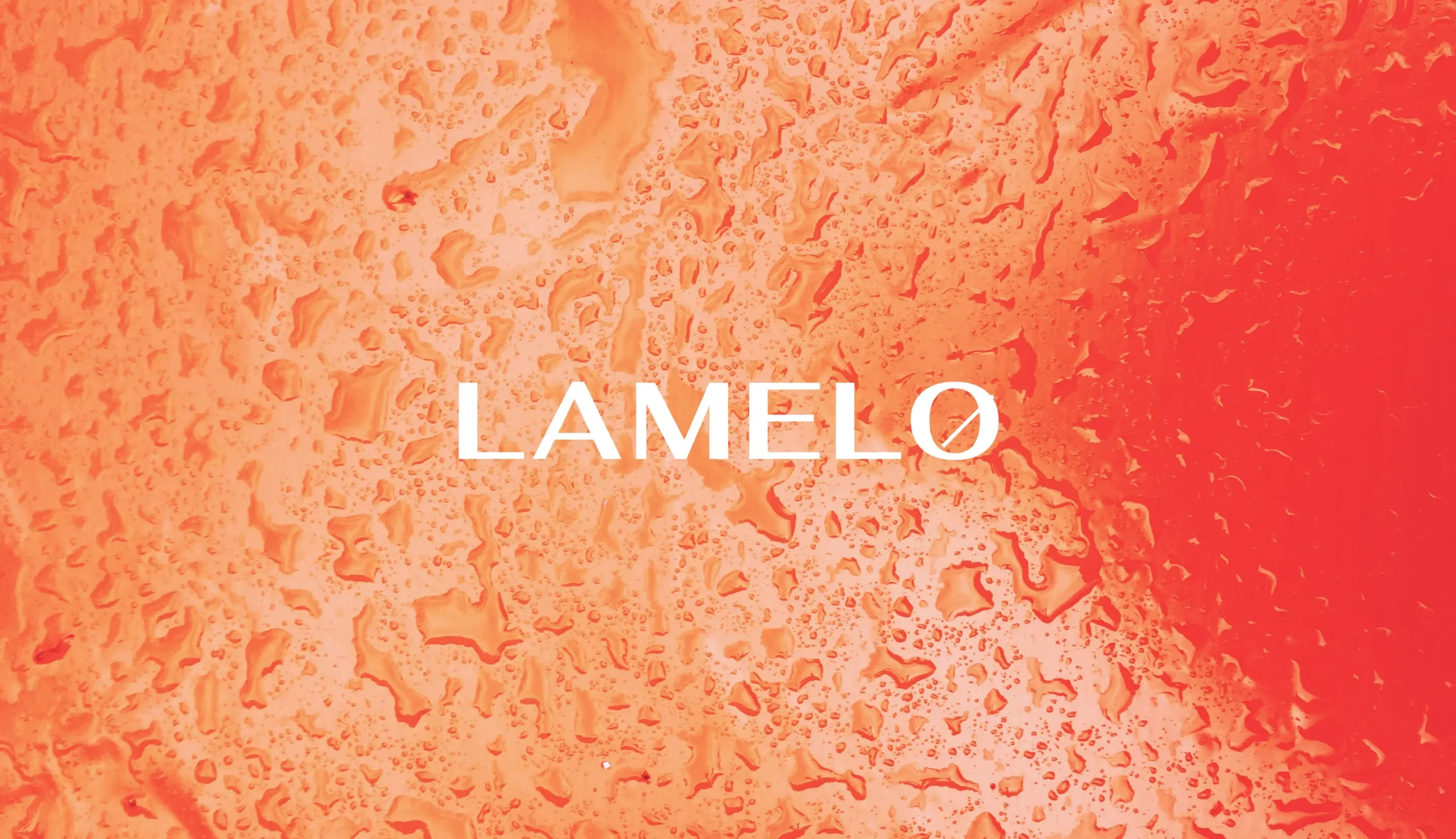 Lamelo banner