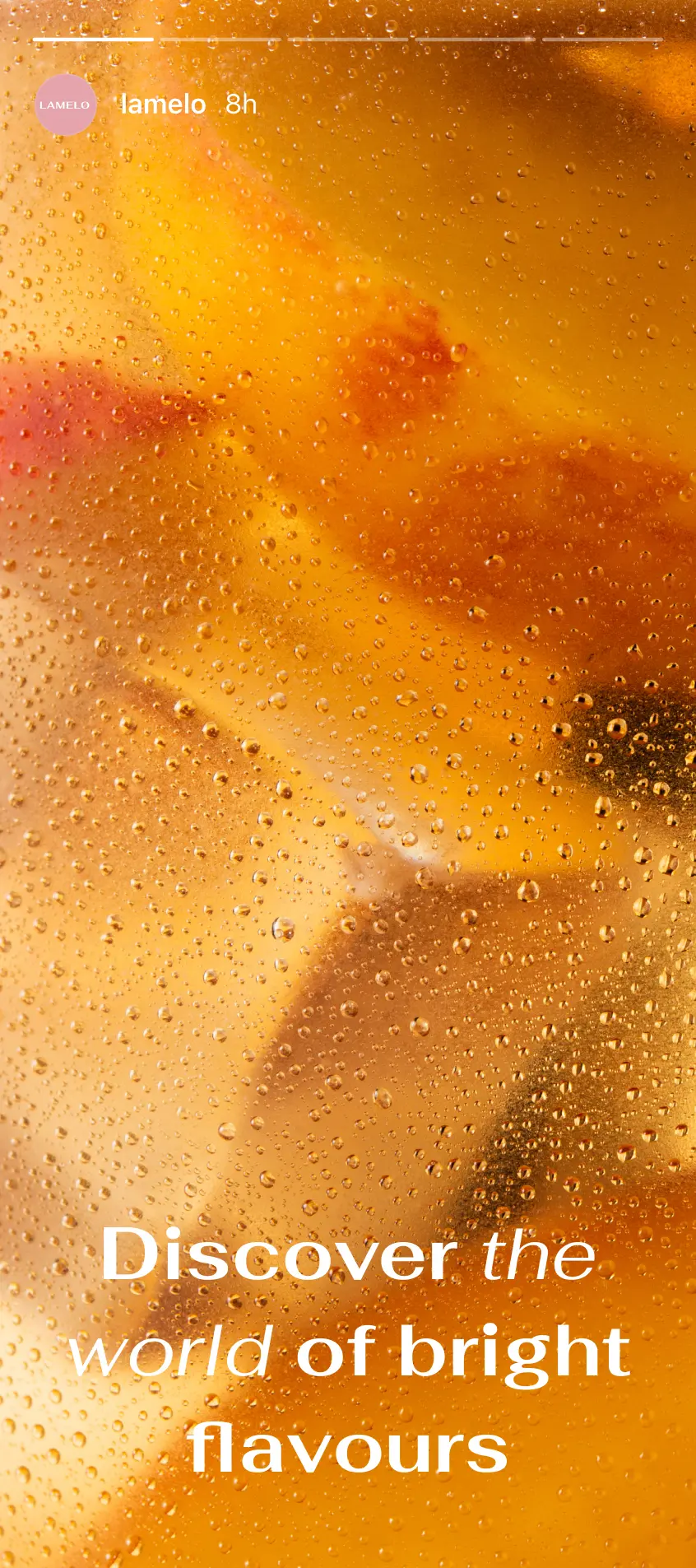 Lamelo instagram stories 5