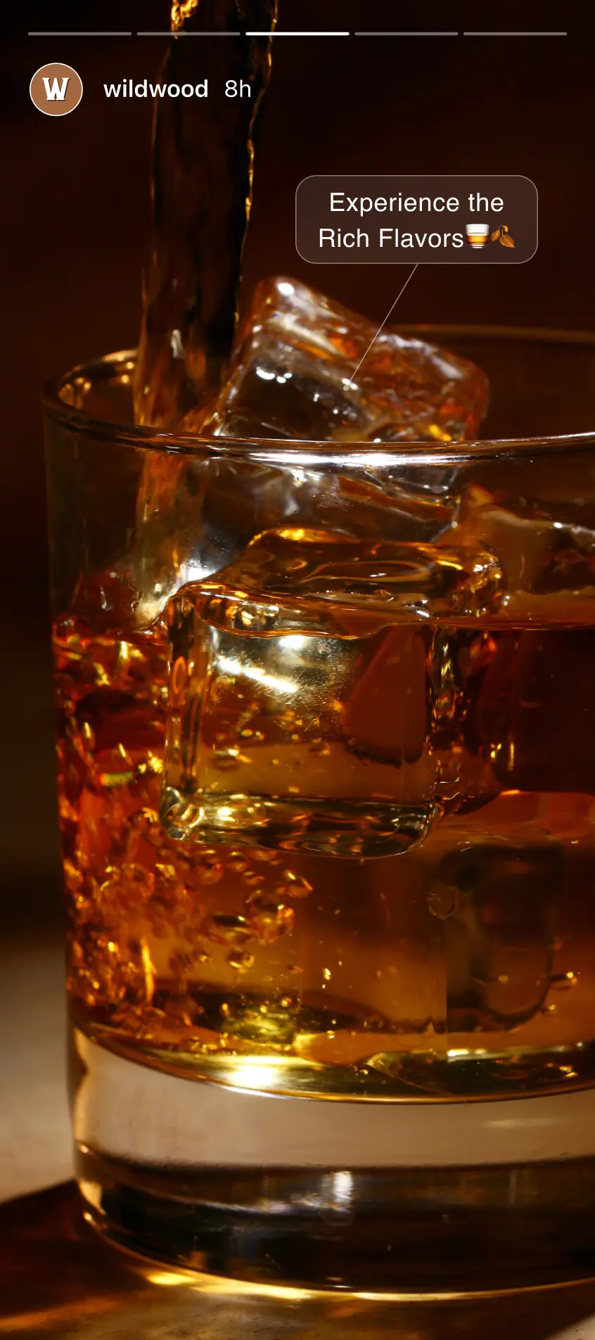 WildWood instagram stories 3