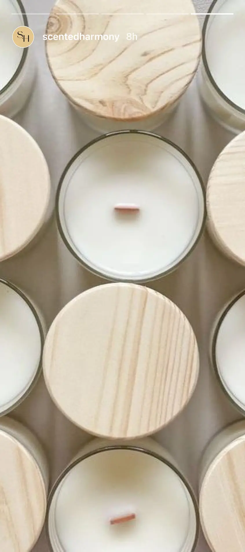 Scented Harmony instagram stories 5