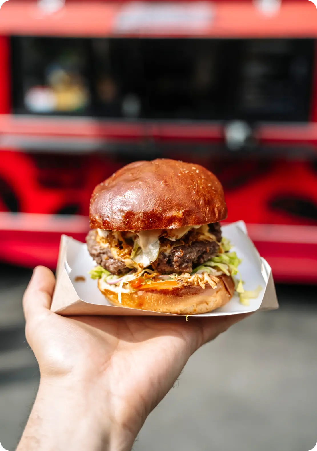 Patty Haven branding 3